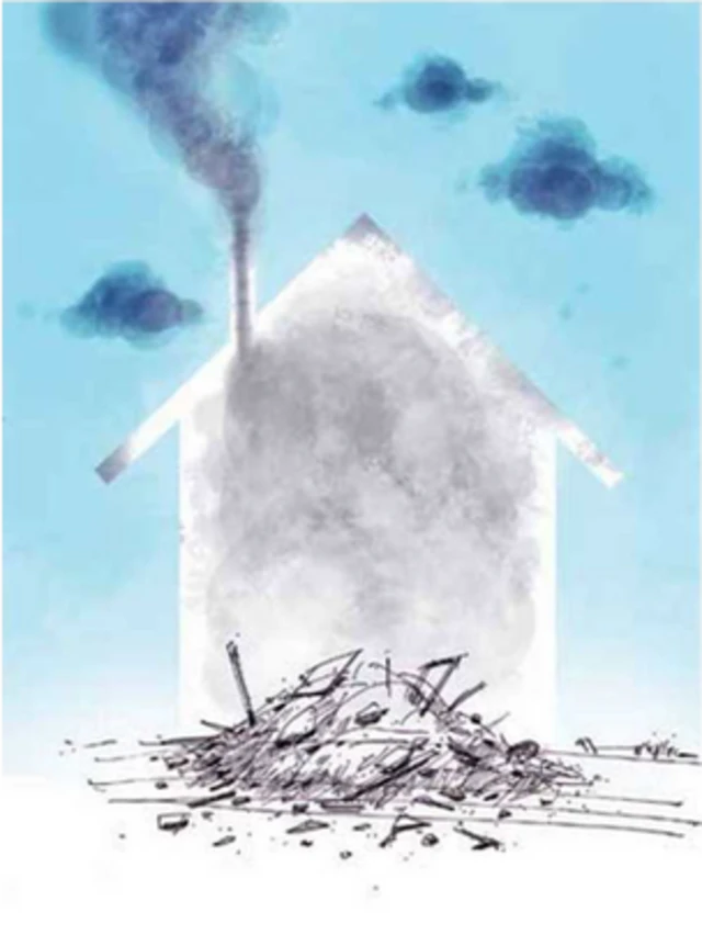 کارتون هانی انصاری. ایران