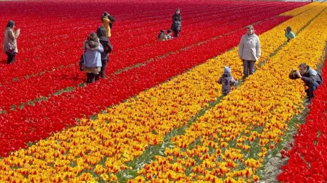 instagrama foto çekenler