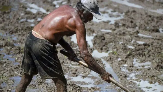 श्रीलंका का किसान