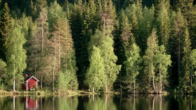 Страна озер могла кому-то показаться заболоченным краем?