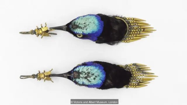 许多珍稀动物被杀害制作成时尚奢侈品。图上这对耳环是1875年的作品，是由两只旋蜜雀的头制作而成。(Credit: Victoria and Albert Museum, London)