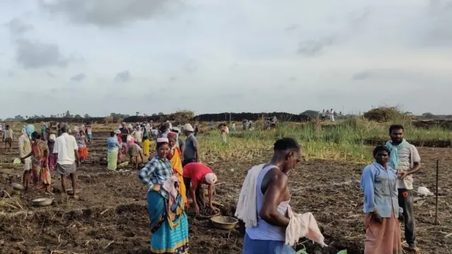 ఉపాధి హామీ