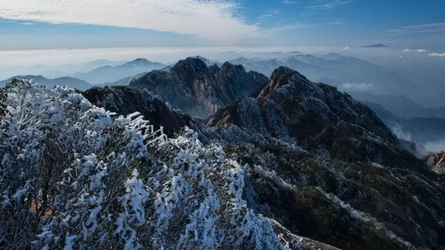 （图片来源: Dave Stamboulis）