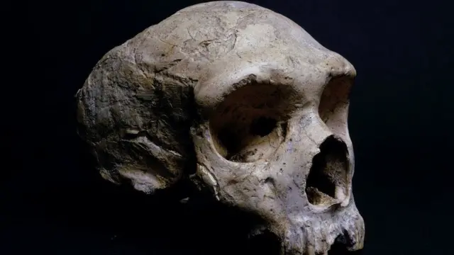 неандертальці