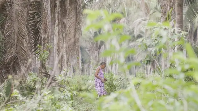 研究表明，人畜共患疾病的风险在热带森林中最高，那里生活着许多土著群体，如巴西的巴巴苏人(Babassu)。