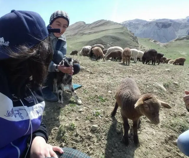 Gülşən Yolçubəyli