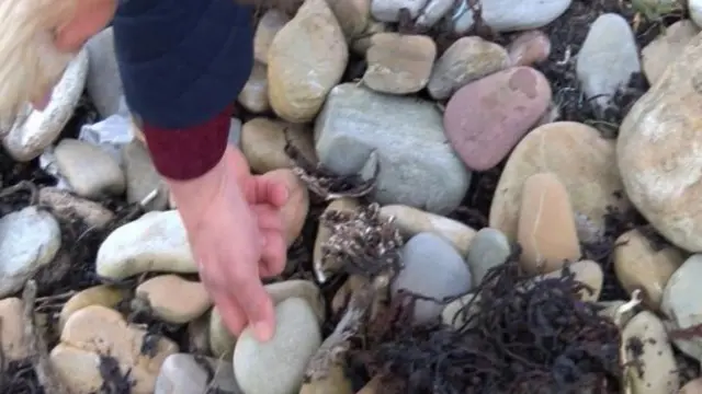 जैन और पॉल हिग्सन