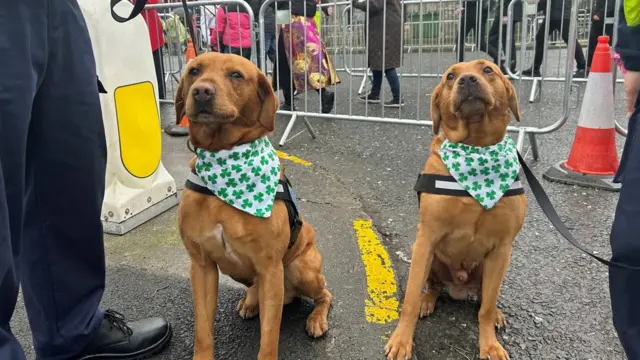 Policijski psi Džejms i Blu su se takođe prigodno obukli za praznik