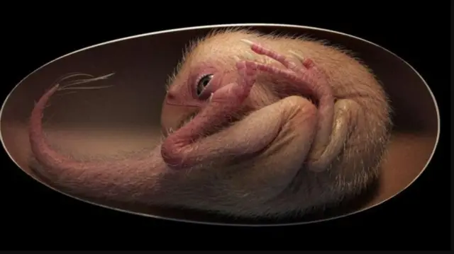 प्रातिनिधिक फोटो