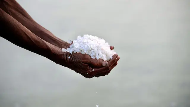 कच्छ का मैदान