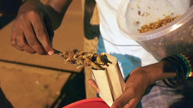 উগান্ডার রাজধানী কাম্পালার রাস্তায় বিক্রি হচ্ছে পাখনা ছাড়িয়ে পেঁয়াজ সহযোগে ভাজা ঘাসফড়িংএর নাস্তা