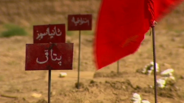 د ماین پاکۍ موسسو د شمېرو له مخې په تېرو دېرشو کلونو کې ماینونو تر ۲۱ زرو د ډېرو افغانانو ژوند اخیستی.