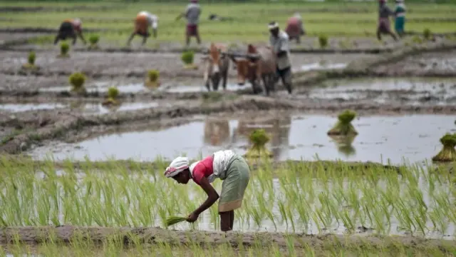தலித் விவசாயிக்கு உதவியால் ஒதுக்கி வைக்கப்பட்ட பெண்