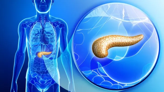 Ilustración del páncreas y su localización en el cuerpo humano