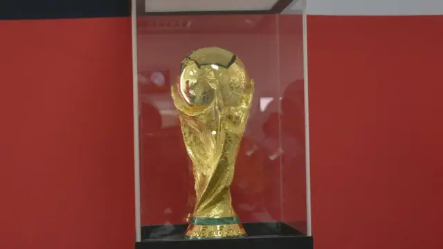 Ife ẹyẹ agbaye duro sinu apoti onidiigi ti wọn gbe e si