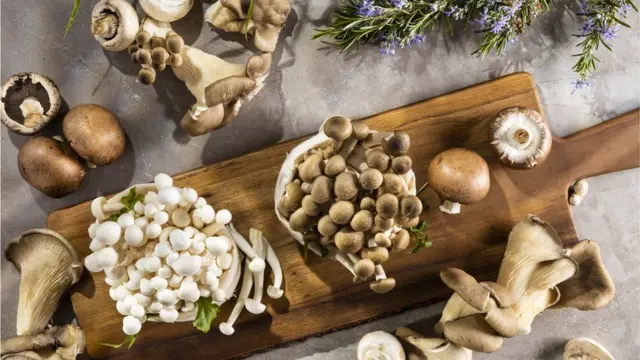 Грибное ассорти.