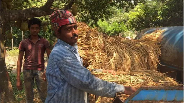 ধান মাড়াই