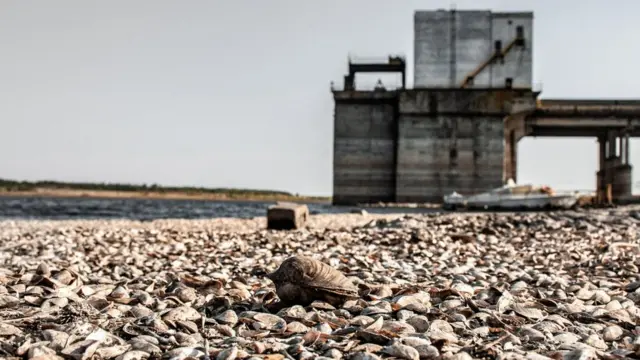 Спека в Україна