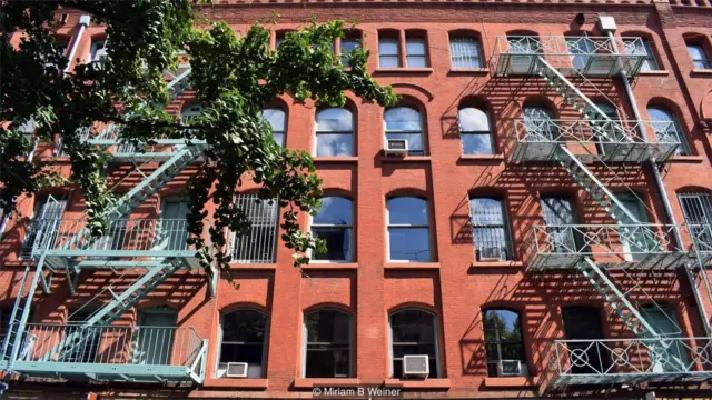 نیویارک میں زندگی کی جھلک