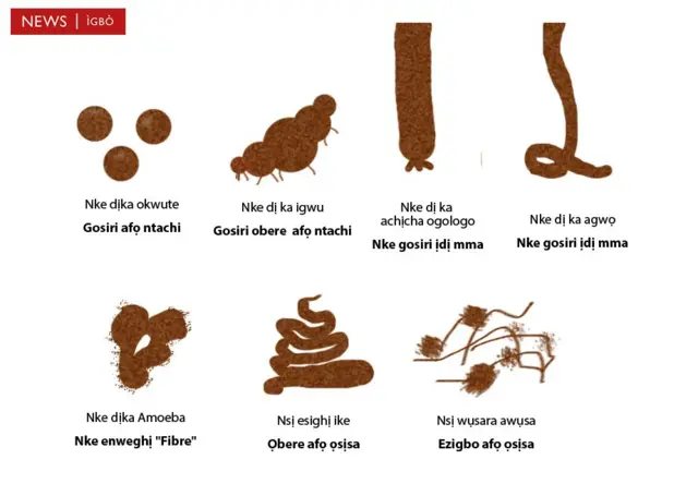 Ụdị mposi dị iche iche