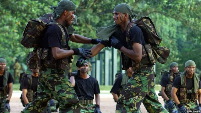 විශේෂ කාර්ය බලකාය