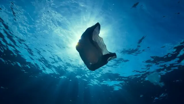 BBC 2017