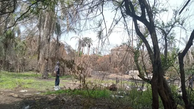 Ogige ebe ọkụ gbagburu ndị mmadụ n'Egbema