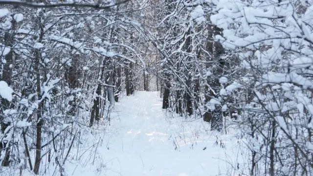 Для людей, страдающих этим видом аллергии, невыносимо попадание на кожу дождя или снега