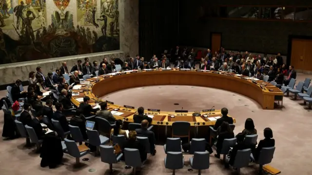 Совет Безопасности ООН