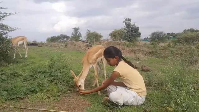 सर्पराज्ञी