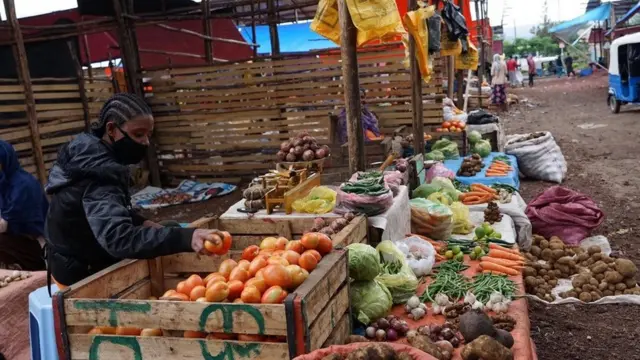 qaala'iinsi meeshaalee bu'uuraa hammaate