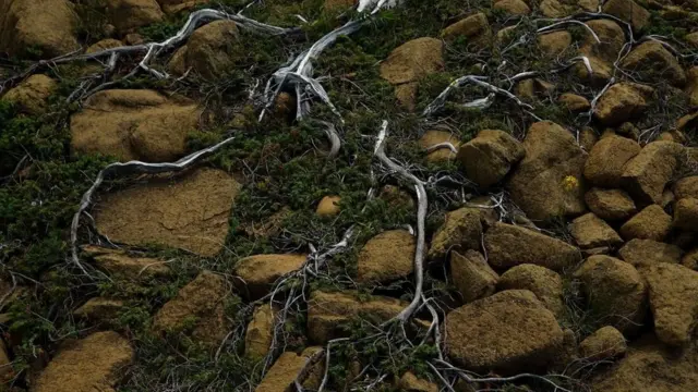 Un paysage "toxique".