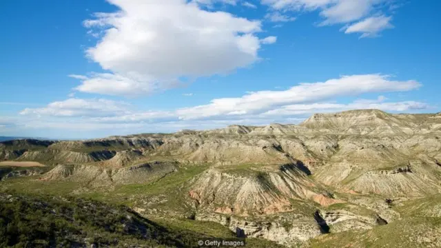 Terdapat sejumlah upaya untuk mengembalikan vegetasi, bahkan di kawasan tandus seperti di pedalaman Spanyol