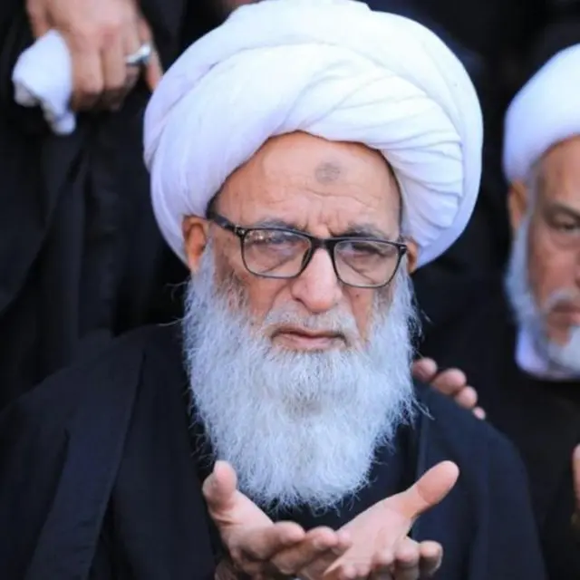 آیت اللہ حافظ بشیر حسین النجفی