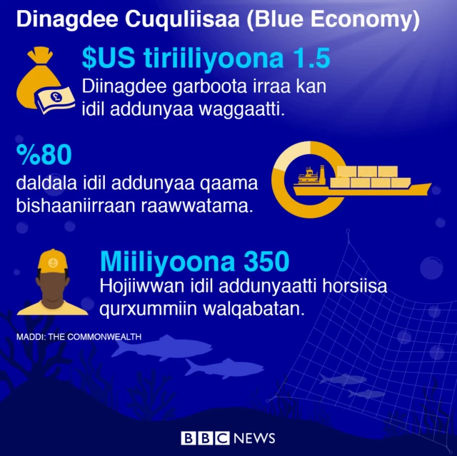 Qaamni bishaanii madda dinagdee guddaadha