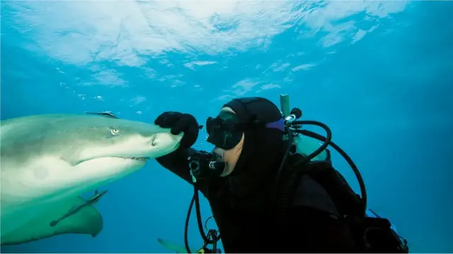 తమ లక్ష్యాలను నెరవేర్చుకోవడం కోసం కొంతమంది దంపతులు రిలేషన్‌షిప్ గ్యాప్ తీసుకోవాలని అనుకుంటారు