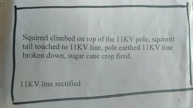 ఉడత రైతు విద్యుత్