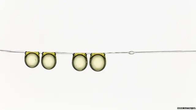 हार्व इलेत्रो