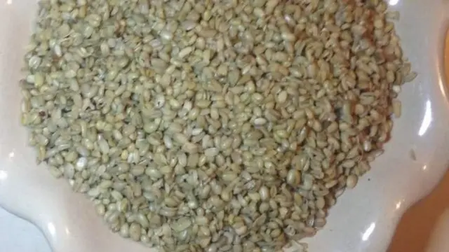 Ụkwa a na-esibeghị esi