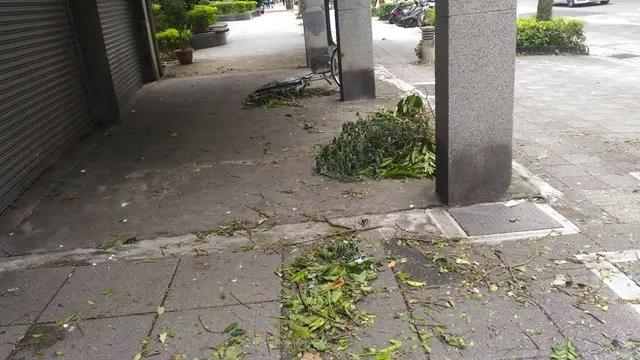 台风在各地造成的灾情不一,在台北除了部分地区稍有淹水之外,灾情相对轻微。