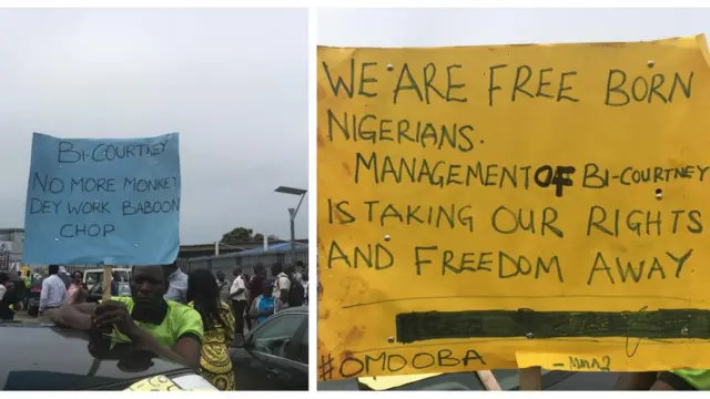 Àwọn òṣìṣẹ́ MMA2