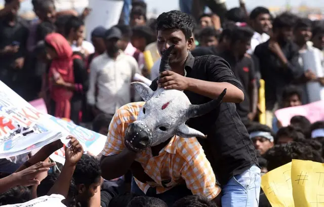 ஜல்லிக்கட்டு ஆதரவு போராட்டம்