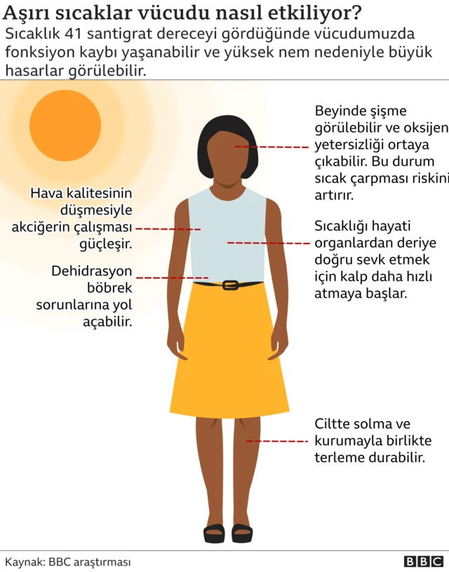 Aşırı sıcaklar vücudu nasıl etkiliyor?