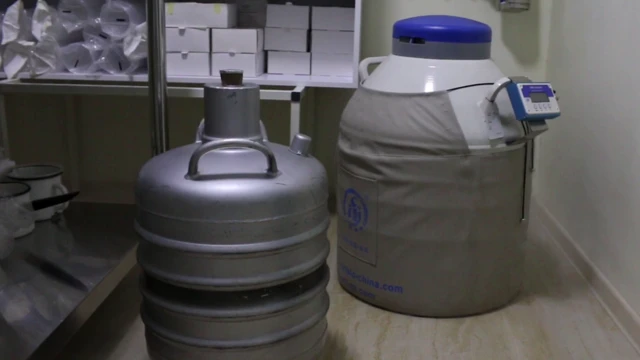 Уруктар 200 °C чейинки муздактыкта тоңуп турат