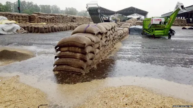 ਜਗਰਾਓਂ ਦੀ ਮੰਡੀ 'ਚ ਕਣਕ ਦਾ ਹਾਲ