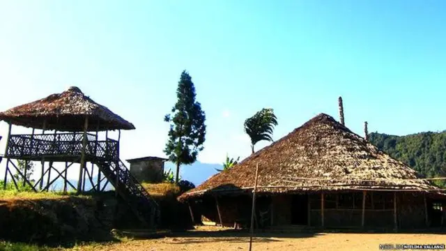 नागालँड