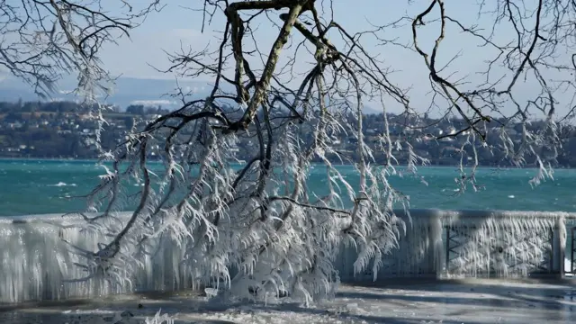 Лед и снег в Женеве