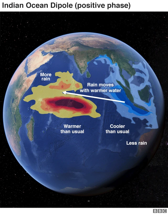የሕንድ ውቅያኖስ ፖዘቲቭ ዲፖሌ ማሳያ