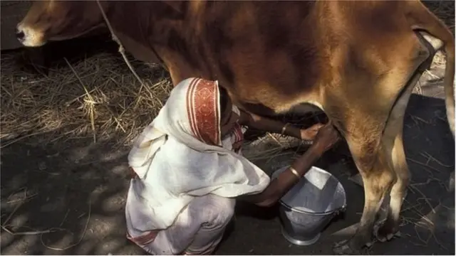 বাংলাদেশে ক্ষুদ্র ঋণ গ্রহিতাদের বেশিরভাগই নারী।