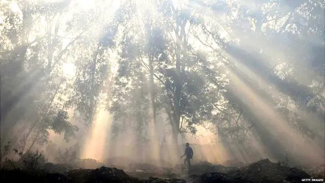 ਸੰਕੇਤਕ ਤਸਵੀਰ